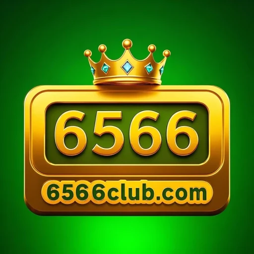 6566
